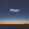 Download track Pingo