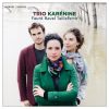 Download track Trio Pour Violon, Violoncelle Et Piano: III. Moderato