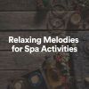Download track Relaxing Melodies For Spa Activities, Pt. 3