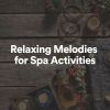 Download track Relaxing Melodies For Spa Activities, Pt. 17