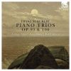 Download track 202 Trio Pour Piano Et Violoncelle, Op. 100 - II Andante Con Moto