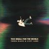 Download track Too Small For The World (Live From Los Angeles)