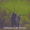 Download track Distinguished Moods For Resting Cats