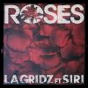 Download track Roses (Workout Gym Mix 124 BPM)