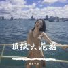 Download track 迪厅必备嗨（DJ版）