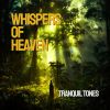 Download track Whispers Of Tranquility