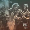 Download track Virtual Blues (Live)