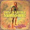 Download track Try A Little Sunshine