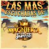 Download track La Tortuguita