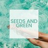 Download track Seeds And Energy