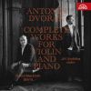 Download track Romantic Pieces, Op. 75, B. 150 III. Allegro Appassionato. Romanza