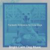 Download track Sensational Music For Doggies