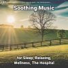 Download track Soothing Music, Pt. 11