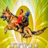 Download track Dogtor Dogor