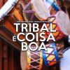 Download track Tribal É Coisa Boa