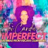 Download track Imperfect (Las Bibas From Vizcaya Club Remix)