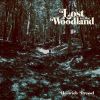 Download track Lost In The Woodland