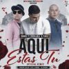 Download track Aqui Estas Tu (Official Remix) (Plan B & Cosculluela)