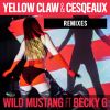 Download track Wild Mustang