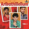 Download track Manavatti Sajitha (Version 2)