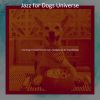 Download track Outstanding Ambiance For Sweet Dogs