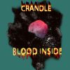 Download track Blood Inside