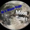 Download track Fly Me To The Moon