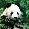 Download track Polar Bears