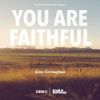 Download track You Are Faithful