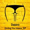 Download track Driving You Insane (Original)