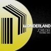 Download track Wonderland (Instrumental)