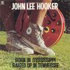 Download track Born In Mississippi, Raised Up In Tennessee