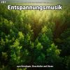 Download track Entspannungsmusik Pt. 88