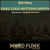 Download track Feel Like Getting Down (Original Mix)