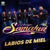 Download track Labios De Miel