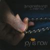 Download track Joy Is Now