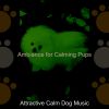 Download track Extraordinary Calming Pups