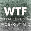 Download track Wtf (Where They From) (Workout Mix)