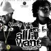 Download track All I Want