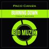 Download track Burning Down (Craig Cs Sinsolo Mix)