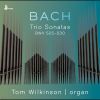 Download track 12. Organ Sonata No. 4 In E Minor, BWV 528 Trio III. Un Poco Allegro