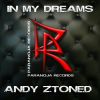 Download track In My Dreams (Extended)