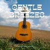 Download track Gentle Melodies