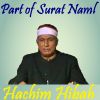 Download track Part Of Surat Naml, Pt. 1 (Quran)