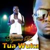 Download track Nyame Be Tua Wuka