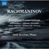 Download track Orchestral Suite In D Minor (Version For Piano) IV. Allegro