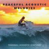 Download track Tranquil Acoustic Reflections