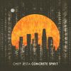 Download track Concrete Spirit (Original Mix)