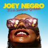 Download track Summer In The Parks (Joey Negro Edit)