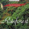 Download track Rainforest - Rainfall